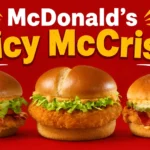 McDonald’s Spicy McCrispy Price, Nutrition & Allergen McDonald’s Spicy McCrispy